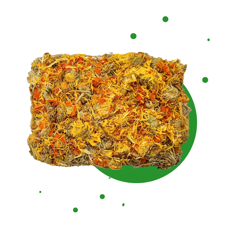 "Heuschnitte"
